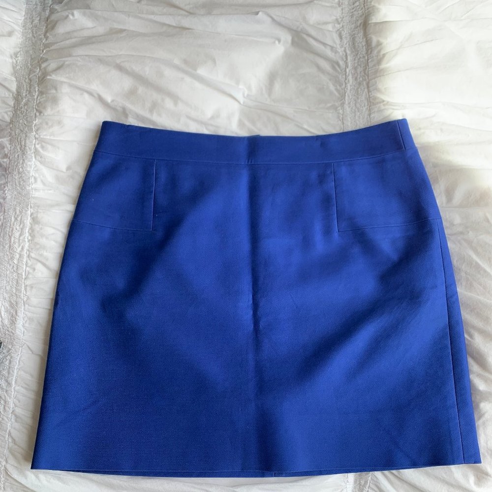 J. Crew Skirt